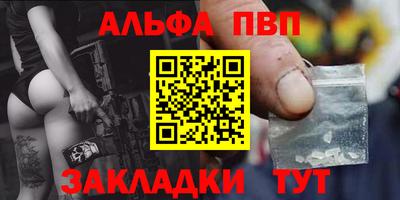 стафф Кингисепп