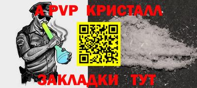 стафф Кингисепп